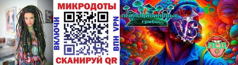 Купить закладки  Верея  Галлюциногенные грибы GOLDEN TEACHER 