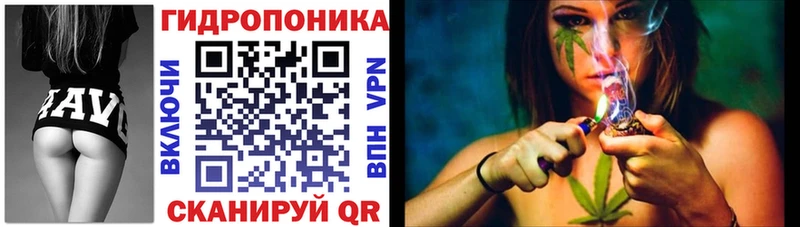 Бошки марихуана марихуана Верея